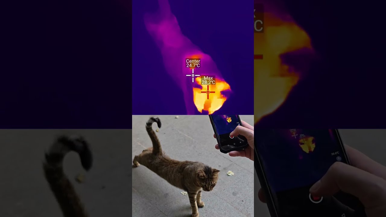 AGM G3 Pro Rugged Smartphone - Normal Vision vs Thermal Vision