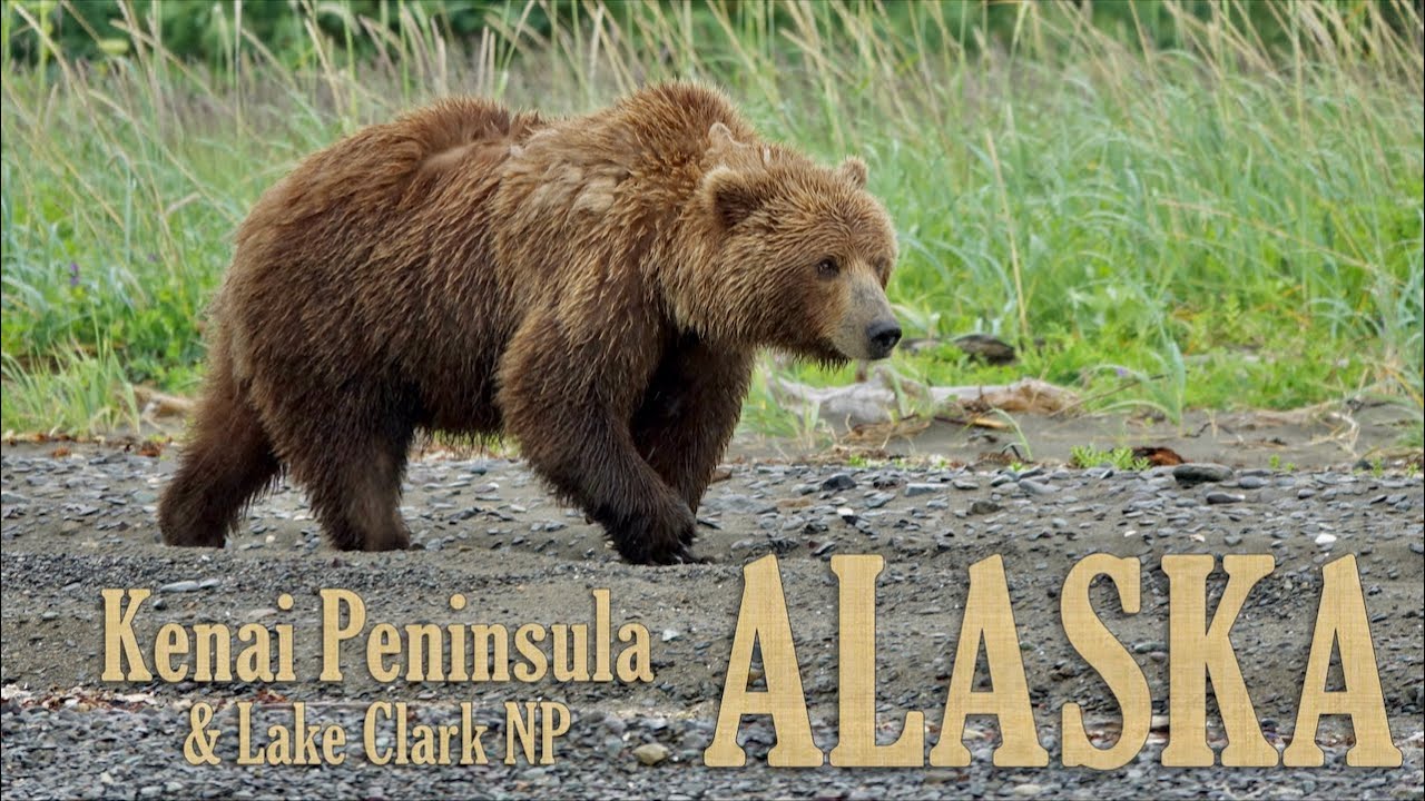 ALASKA ROAD TRIP - Part 2.  South of Anchorage: Kenai Peninsula and Lake Clark
