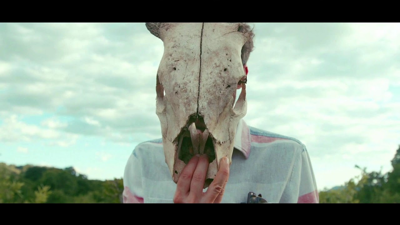 IMPALA RAY - IMPALA CRUSH // Official Music Video