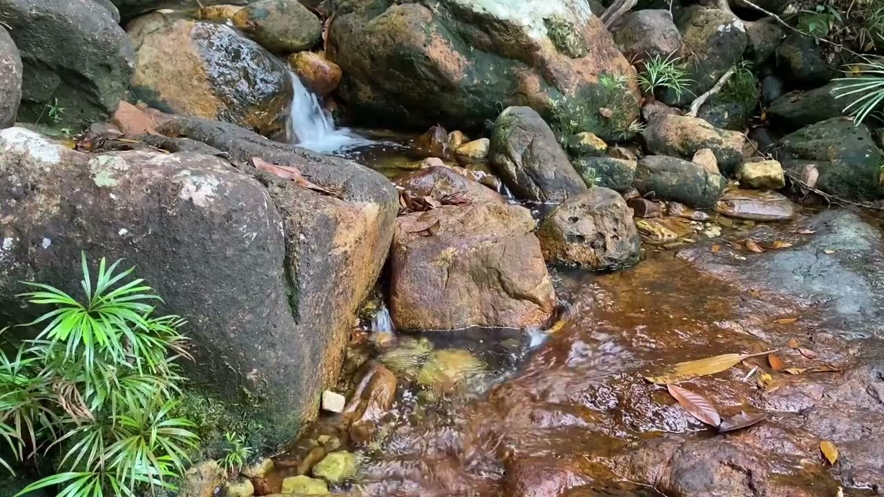 Instant Calm: Clear River Water Trickling on Rocks | Relaxing Nature ASMR