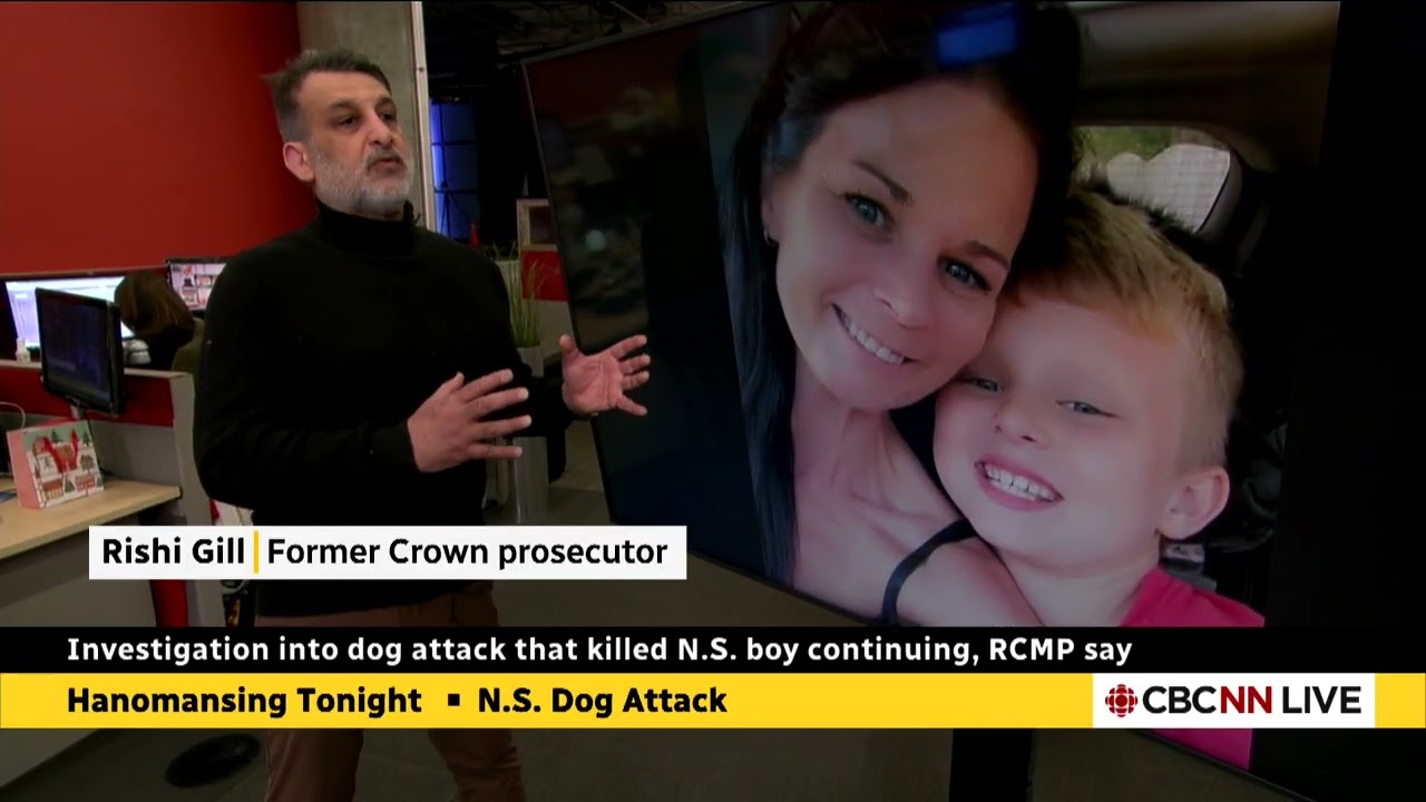 Nova Scotia - 3 Dog Attack - Criminal Standard of Liability