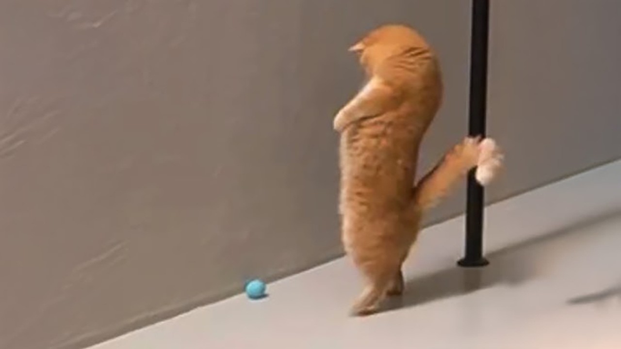 Funny Moments That Make Bad Days Better #65