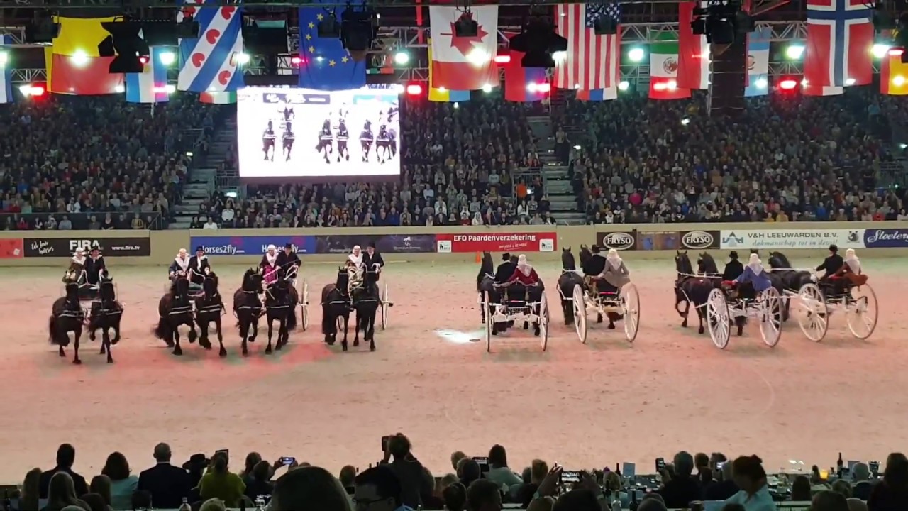 16 Friesian horses in front of the Sjees, during the stallion inspection 2020. Fryske Quadrille