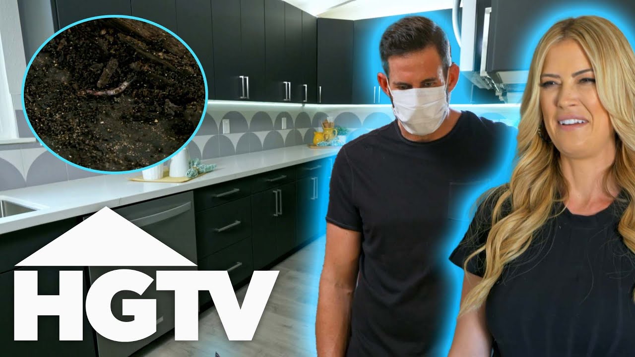 Tarek & Christina's Disaster House Is CRAWLING WITH BUGS l Flip Or Flop