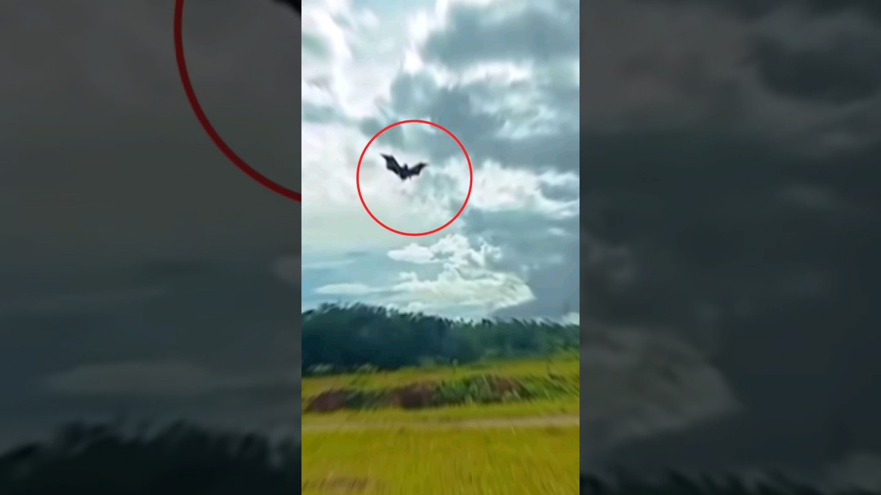 Type of mythical creatures😱 {Manananggal} 