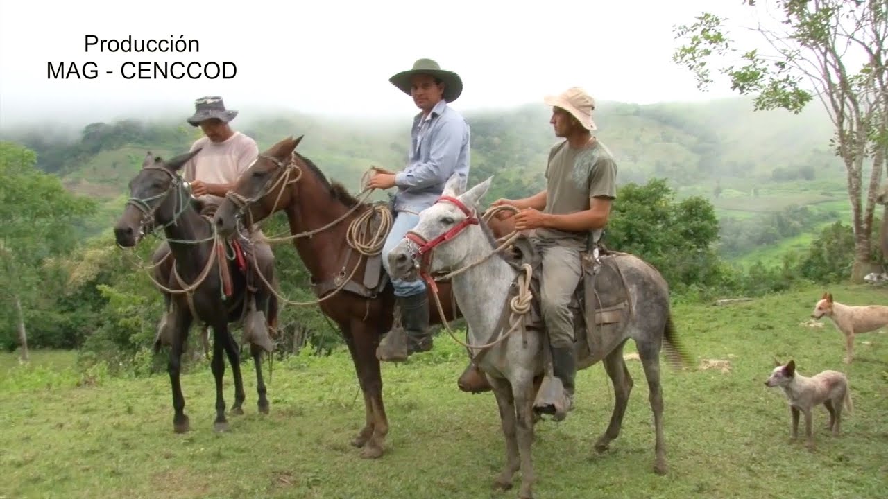 Finca  Ganadera, Famlia Bermúdez Montero, Integración Generacional
