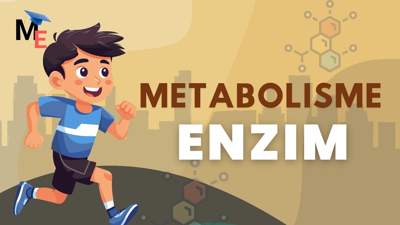 Enzim | Struktur, Sifat dan Klasifikasi - Biologi