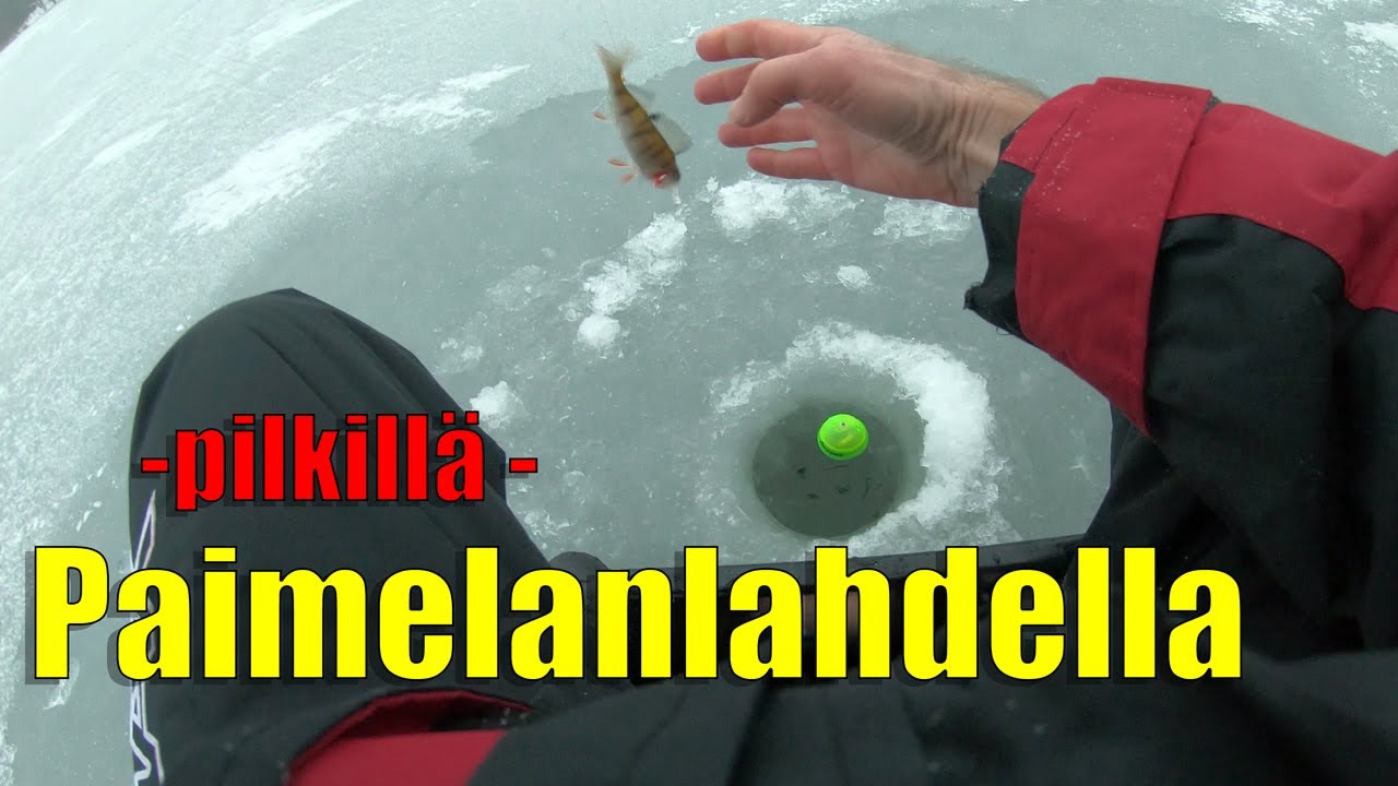 pilkillä paimelanlahdella