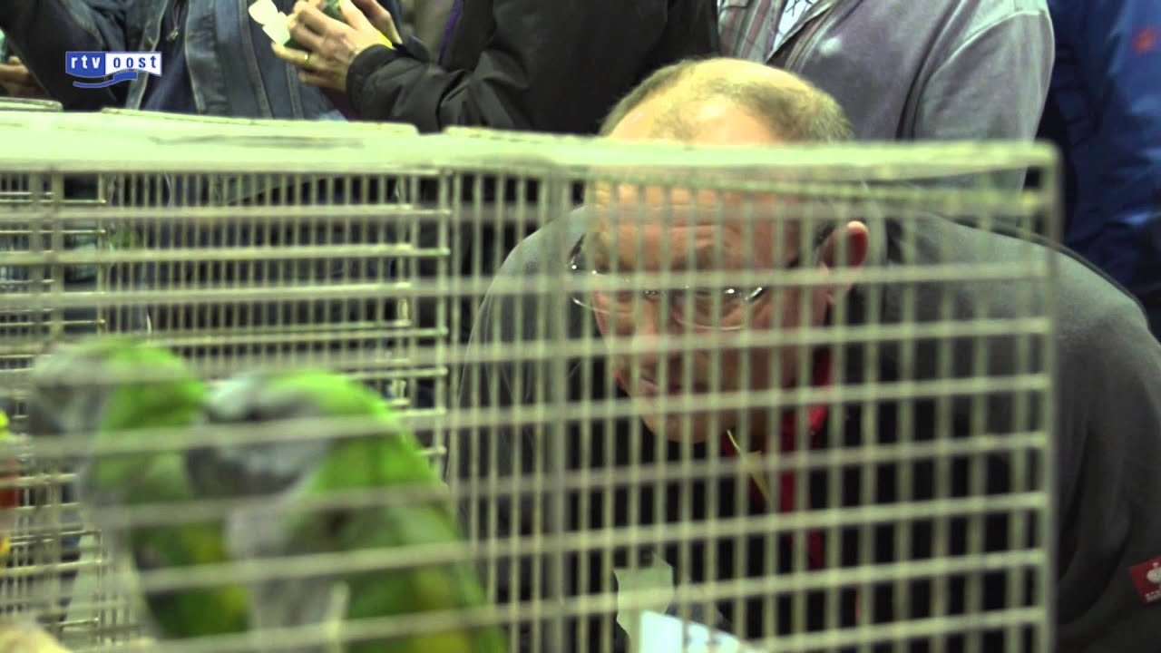 Drie overtredingen op Vogelmarkt Zwolle, geen bijzonderheden