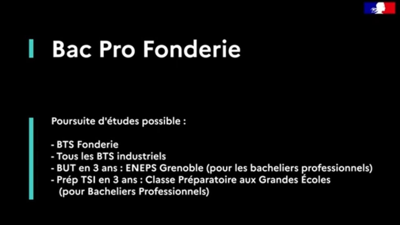 Bac Pro Fonderie Lycée H Guimard