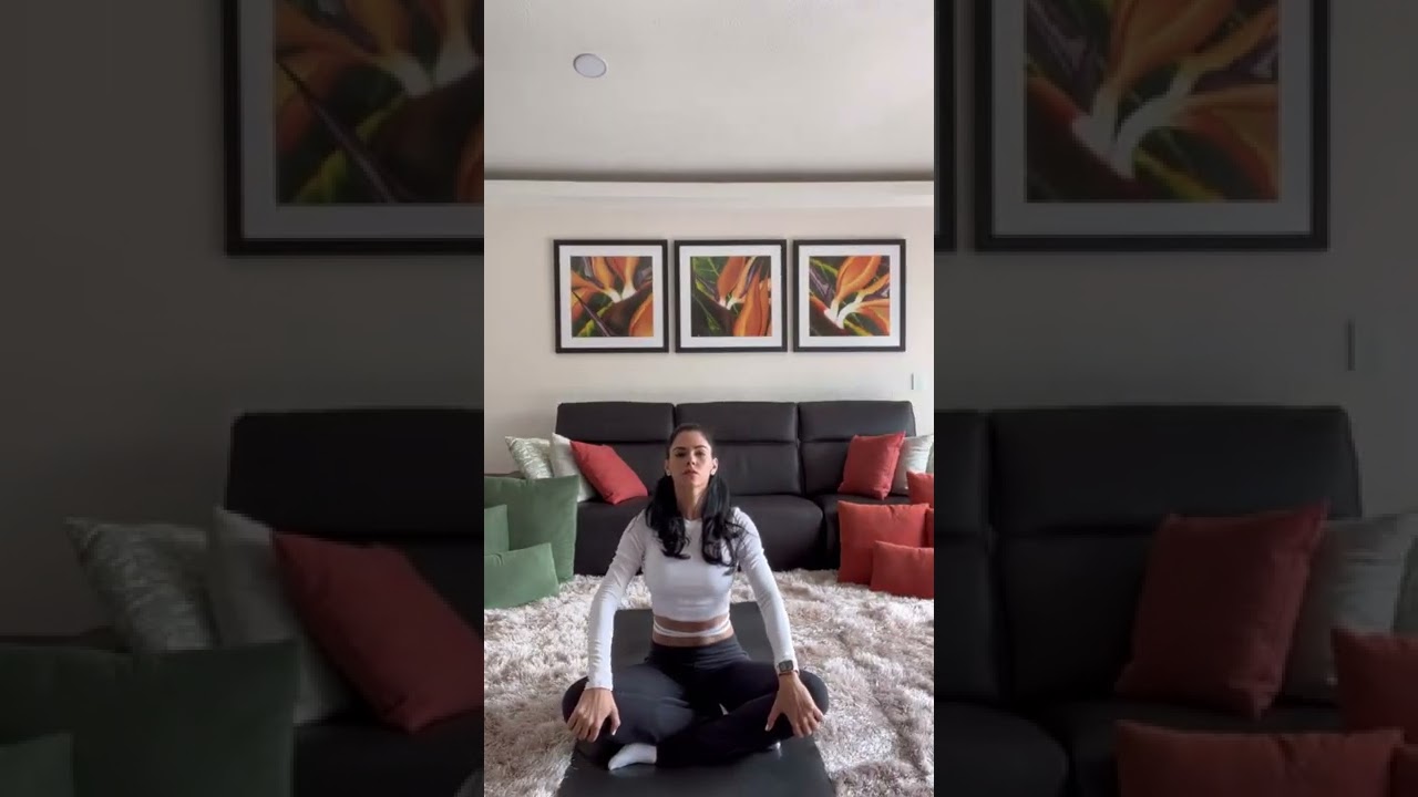 Livia Brito Yoga #aloyoga