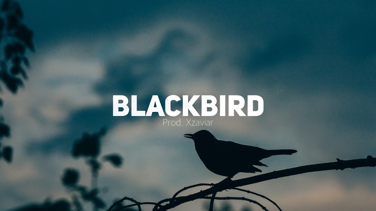 (FREE) Country Folk Type Beat 2025 - 