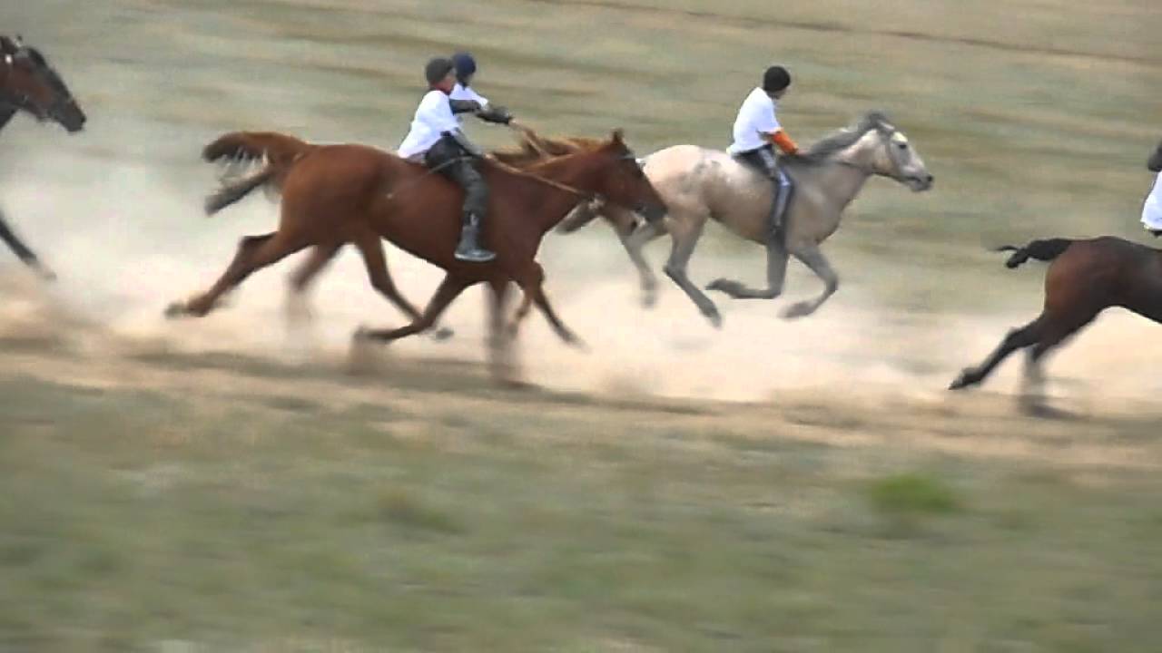 Аламан байге Караганды Оспен ауылы 01.05.2016