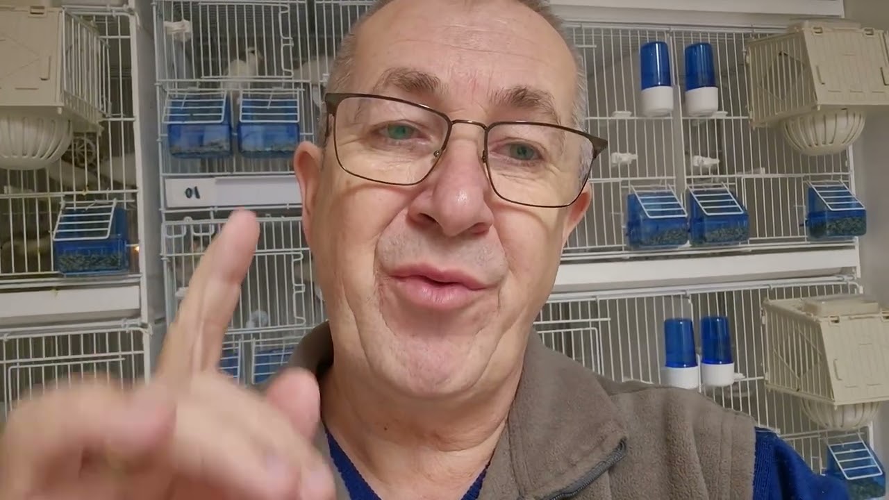 Inelarea puilor. Cum și la câte zile trebuie să aibă loc