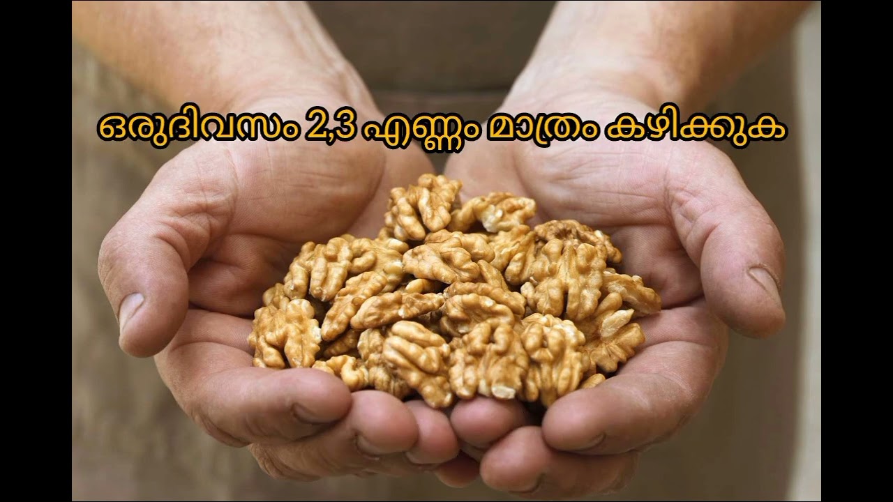 രാവിലെ കഴിക്കാവുന്ന dry fruits. ഇതിന് ഇത്രയും നല്ല കാര്യങ്ങളോ?