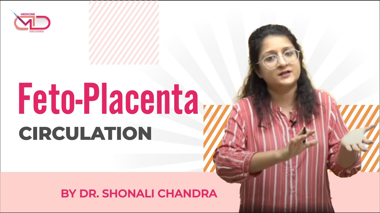 Feto-Placenta Circulation || Back to Basics || Dr. Shonali Chandra