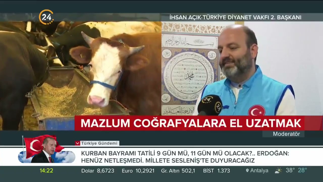 Türkiye Diyanet Vakfı'nda kurban vekaleti