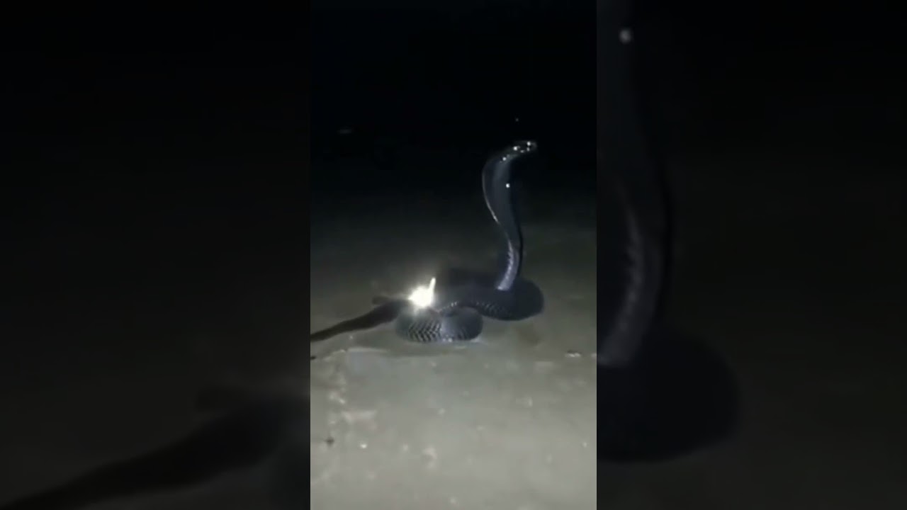 Naak saaf ka video #viral🙏 # utube #short # trending #youtubevideo #shortsvideo #shortvideo