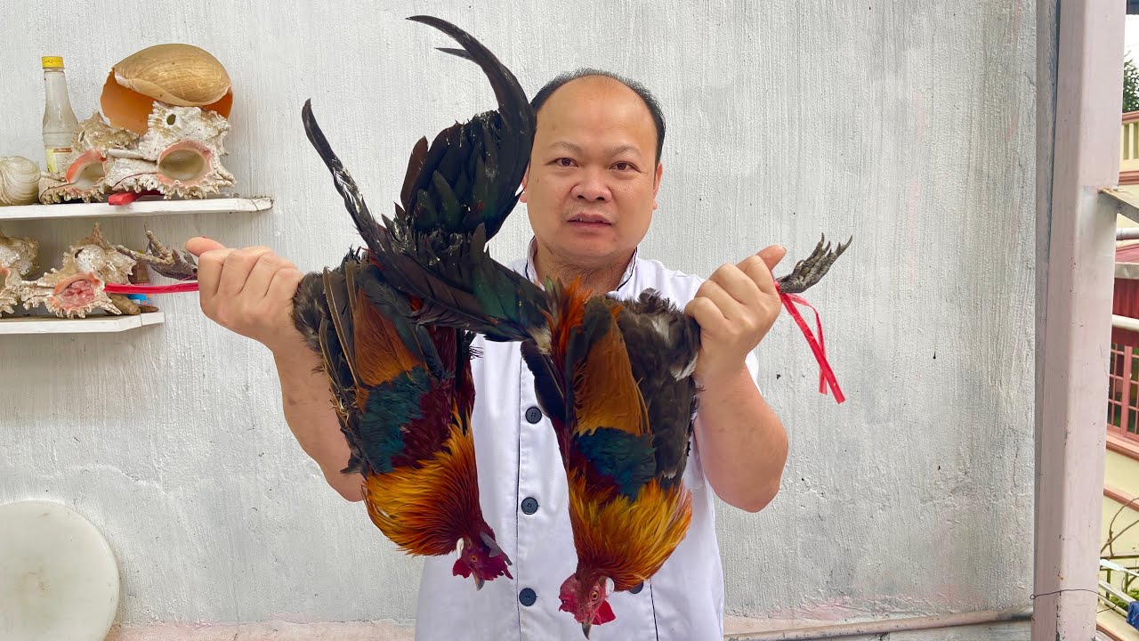 Cách nấu thịt gà rừng ngon nhất, gà rừng 3 món // Sơn Hào