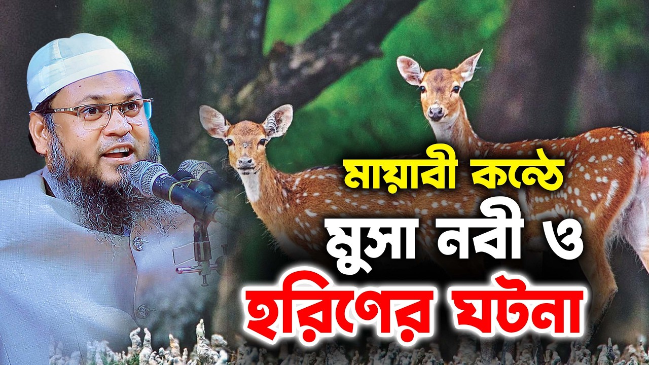 মায়াবী কন্ঠে মুসা নবী ও হরিনের ঘটনা | মাওঃ সিদ্দিকুর রহমান হবিগঞ্জ Kuakata Tv