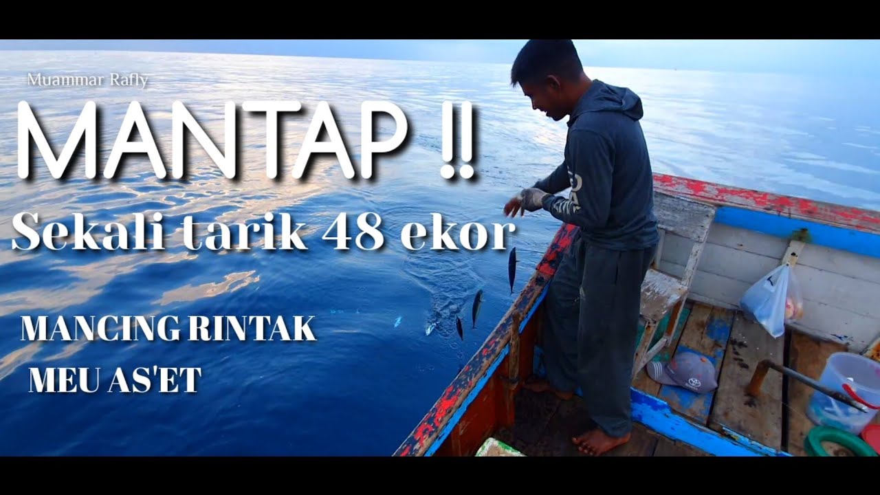 AMAZING!! Ternyata begini mancing rintak sekali narik full strike