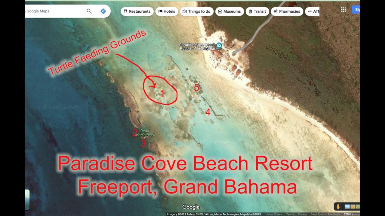 Cruise Port Snorkeling - Freeport, Grand Bahama - Paradise Cove Beach Resort