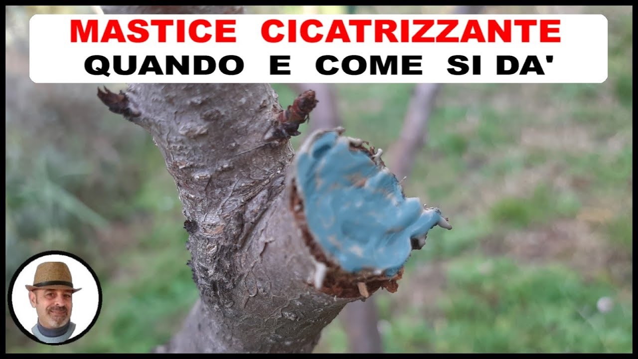 COME SI APPLICA IL MASTICE CICATRIZZANTE