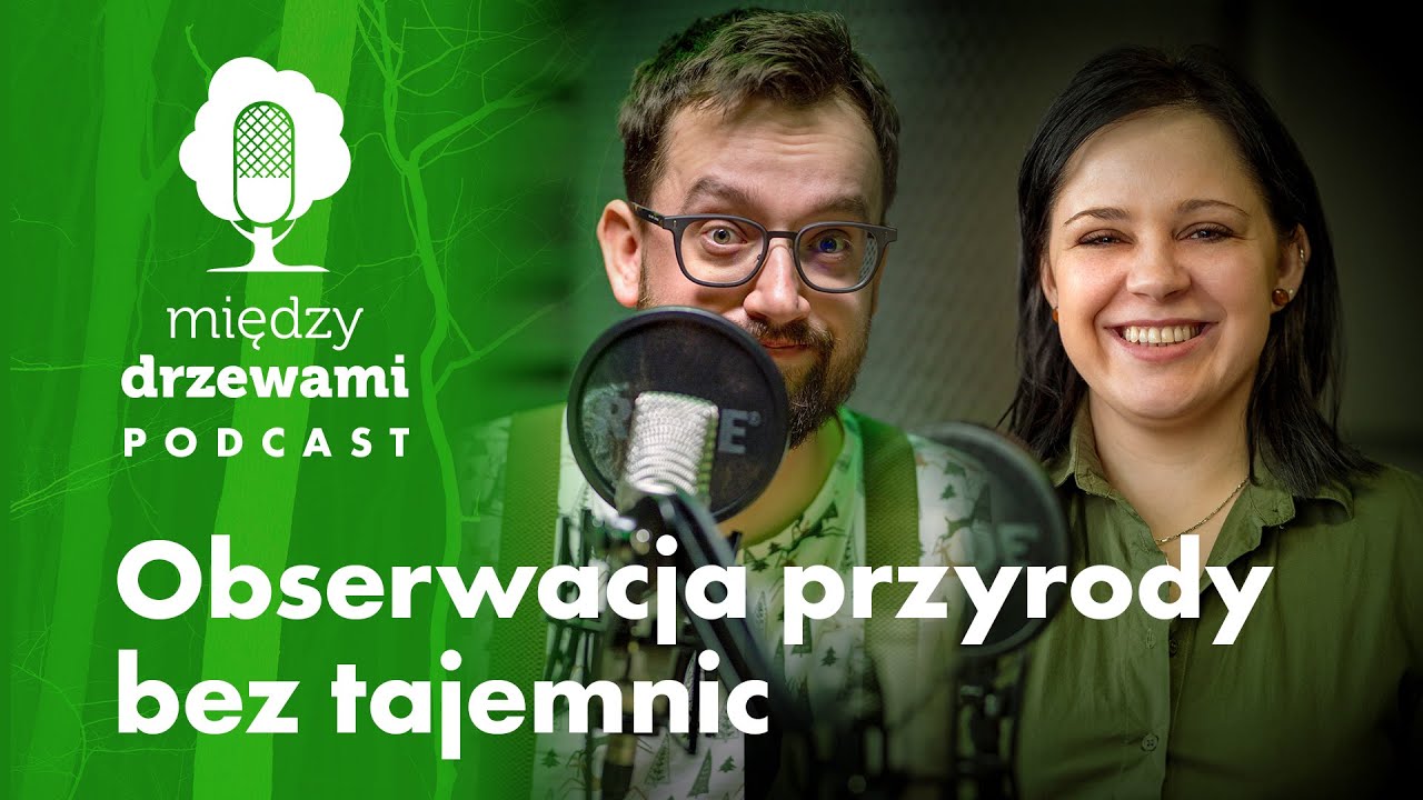 Między Drzewami #16 Obserwacja przyrody bez tajemnic | PODCAST