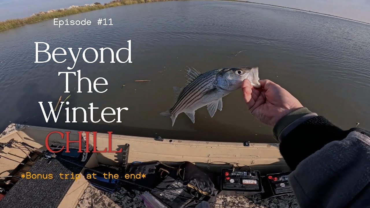 Chasing a Winter Striper Bite (California Delta)