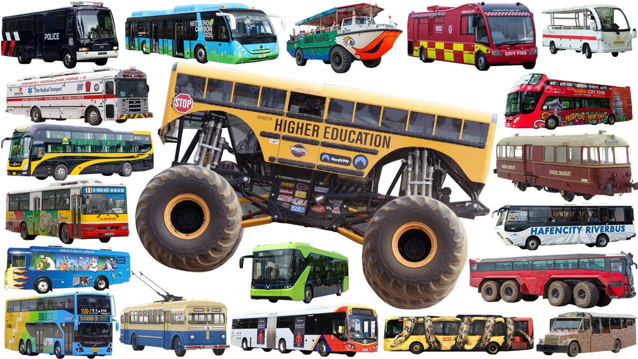 Monster School Bus, Police bus, Airport Bus, Ambulance bus, Trolley | Buses Types Collection Name