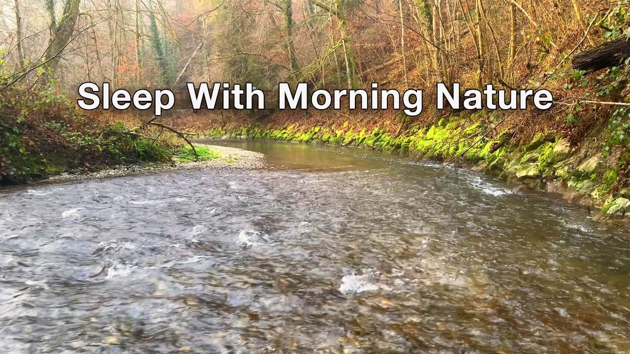 Morning River Sounds for Deep Sleep 🌿 Calm Forest Water Ambience at Dawn