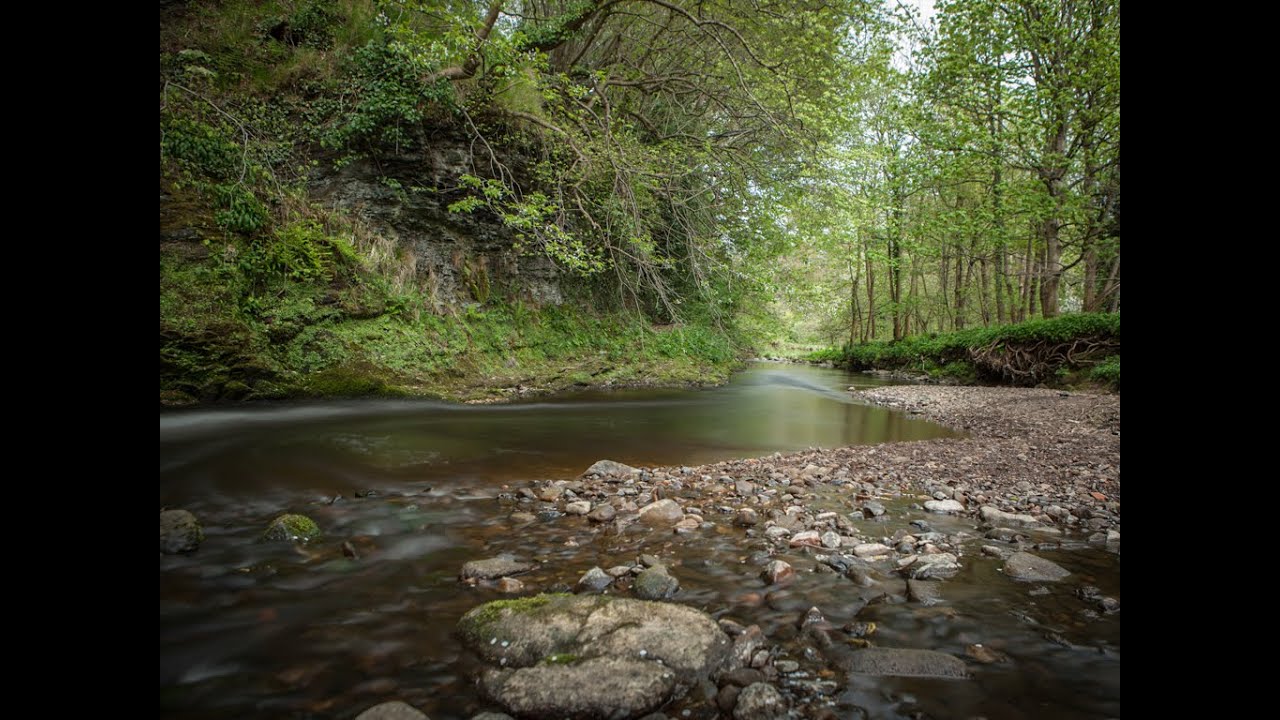 The Water of Leith: Part One