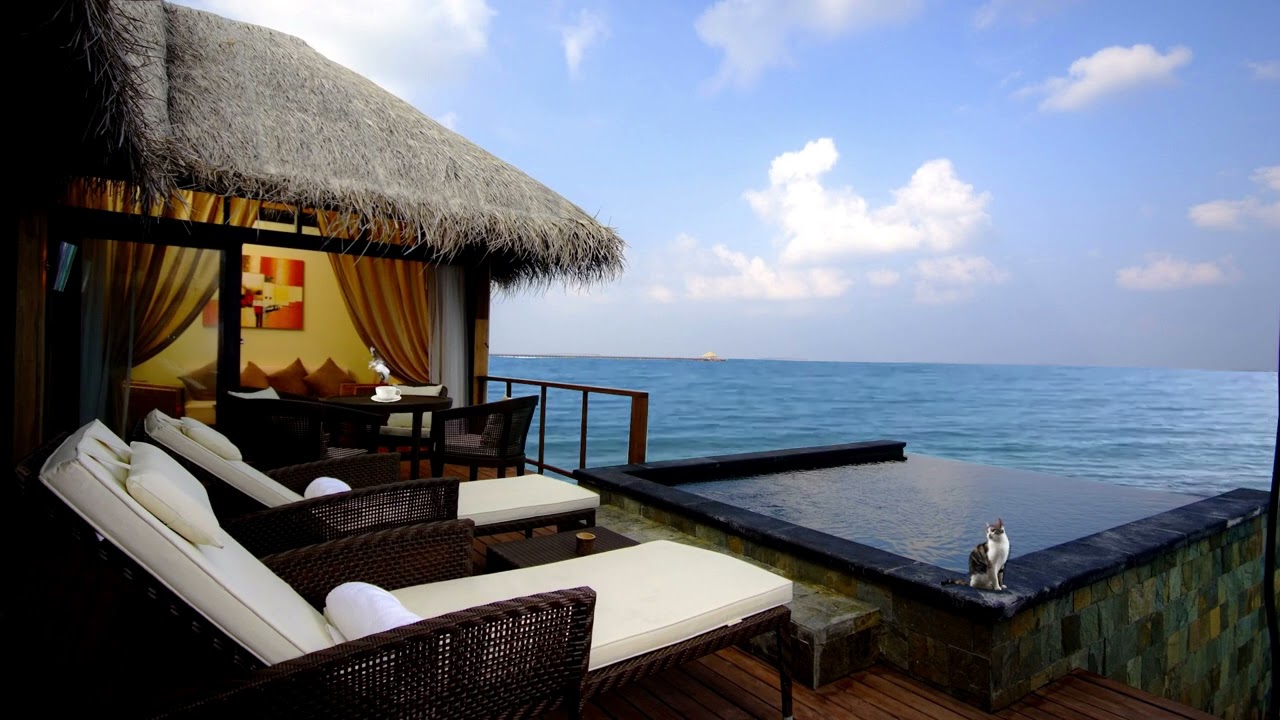 Seaside  Coffee Shop Ambience Music | Coffee Shop Outside The Beach and Ocean Sound for Relaxation