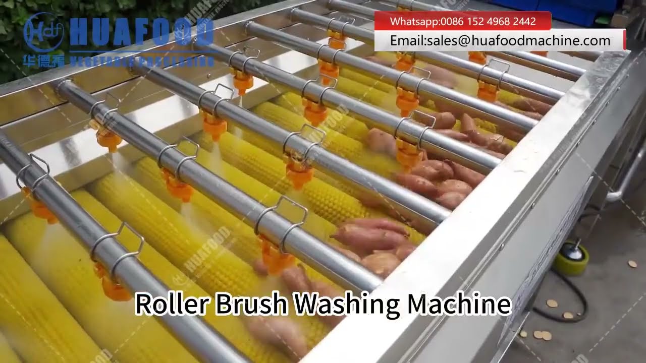 Sweet Potato Washing Cleaning Line: Remove Mud & Sand with Air Bubble & Brush