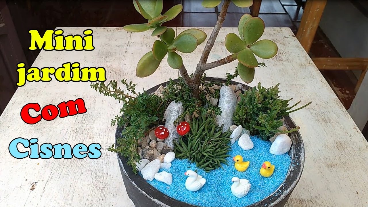 Mini jardim cisnes