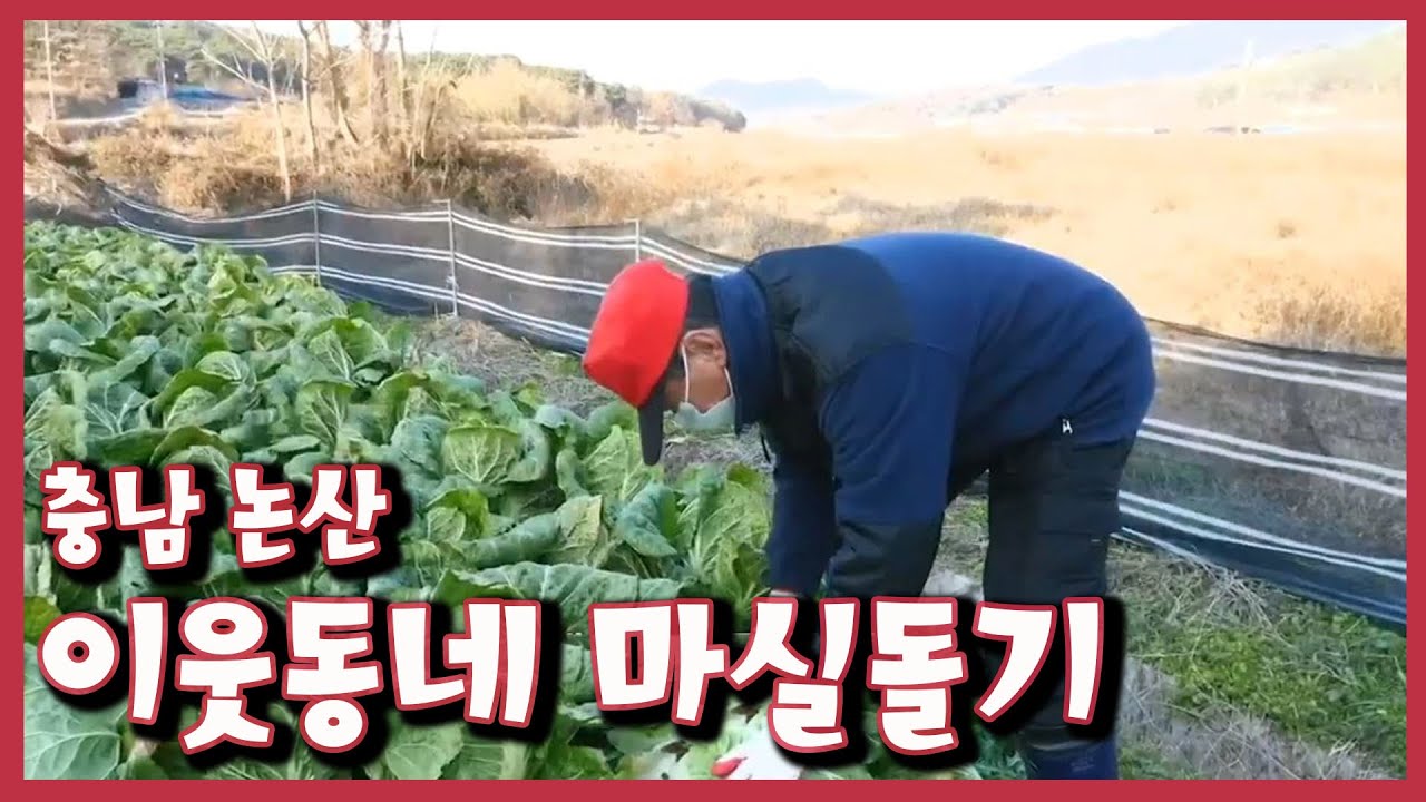 [남도지오그래피]  이웃동네 마실돌기, 충남 논산 | KBS 201203 방송