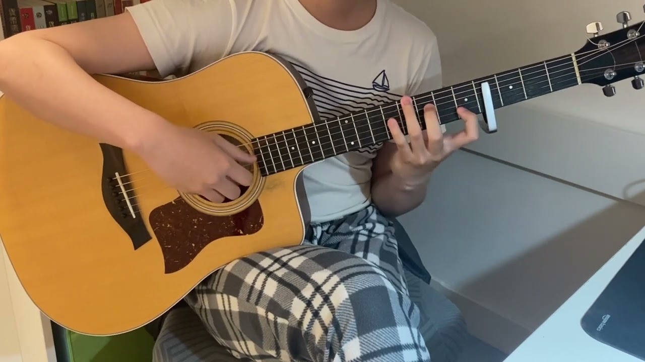 熱異常 / Heat Abnormal (fingerstyle guitar cover)