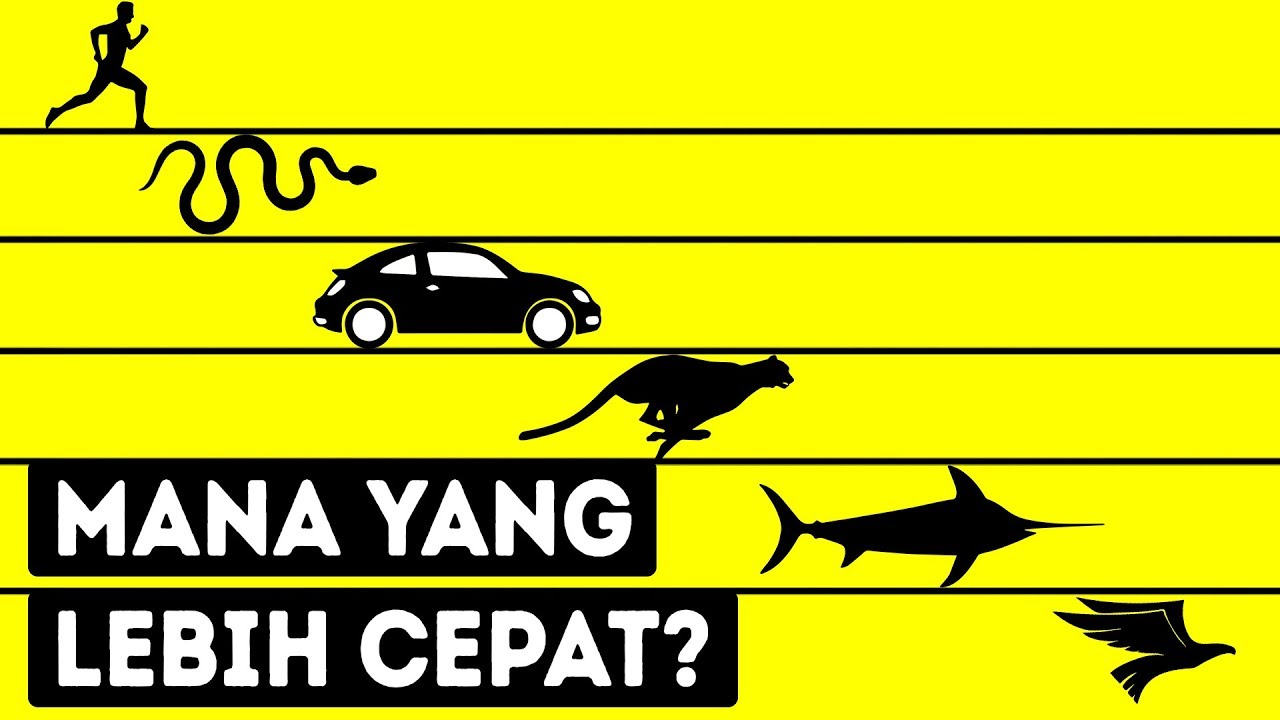 Makhluk Hidup Tercepat di Dunia