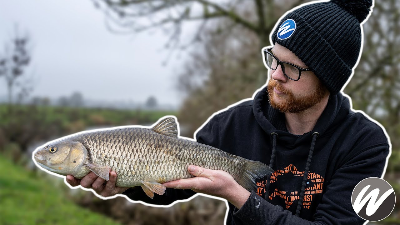 Float Fishing For Chub On Bread | River Fishing | Accidental Monster Fish Caught! | Rich Chapman