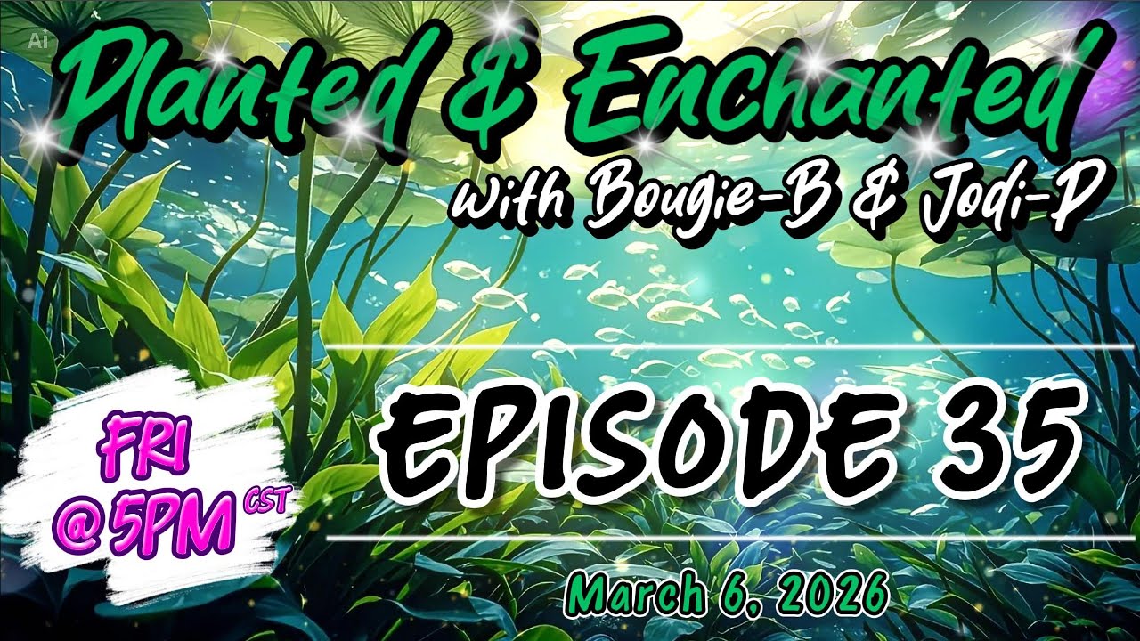 Planted and Enchanted with Bougie-B & Jodi-P - Episode 35