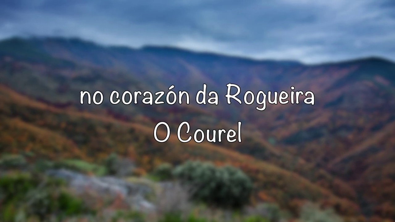 Fototrampeo na Rogueira