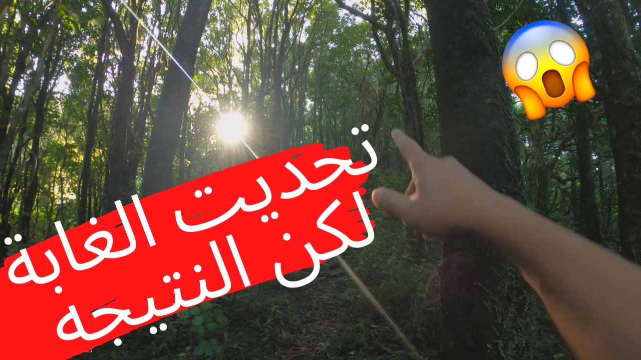 محاولة الوصول الى قمة جبل عن طريق الغابة