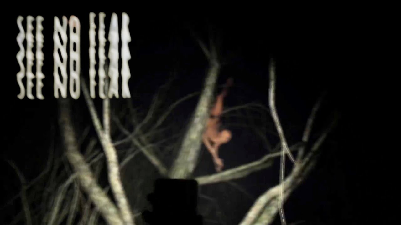 In diesem WALD sind wir NICHT ALLEINE | See No Fear
