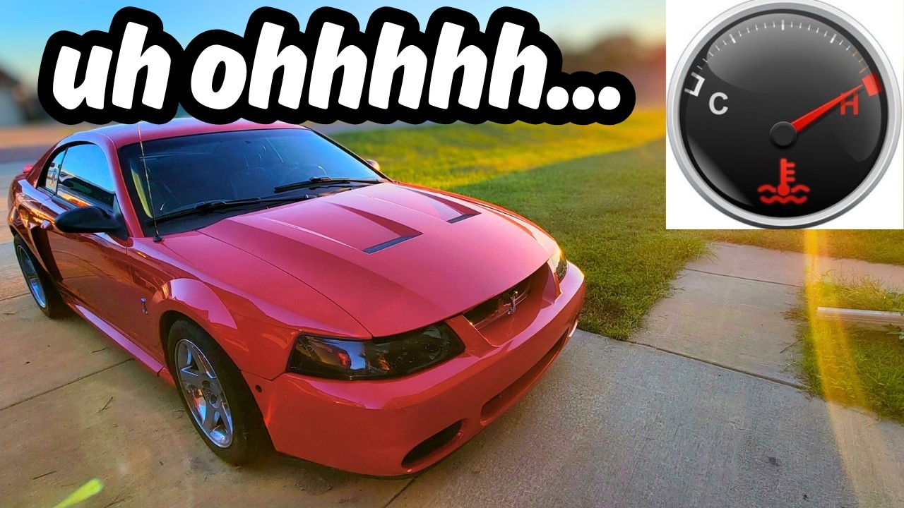 This BIG MISTAKE Might Have Destroyed This Mustang Cobra Engine...