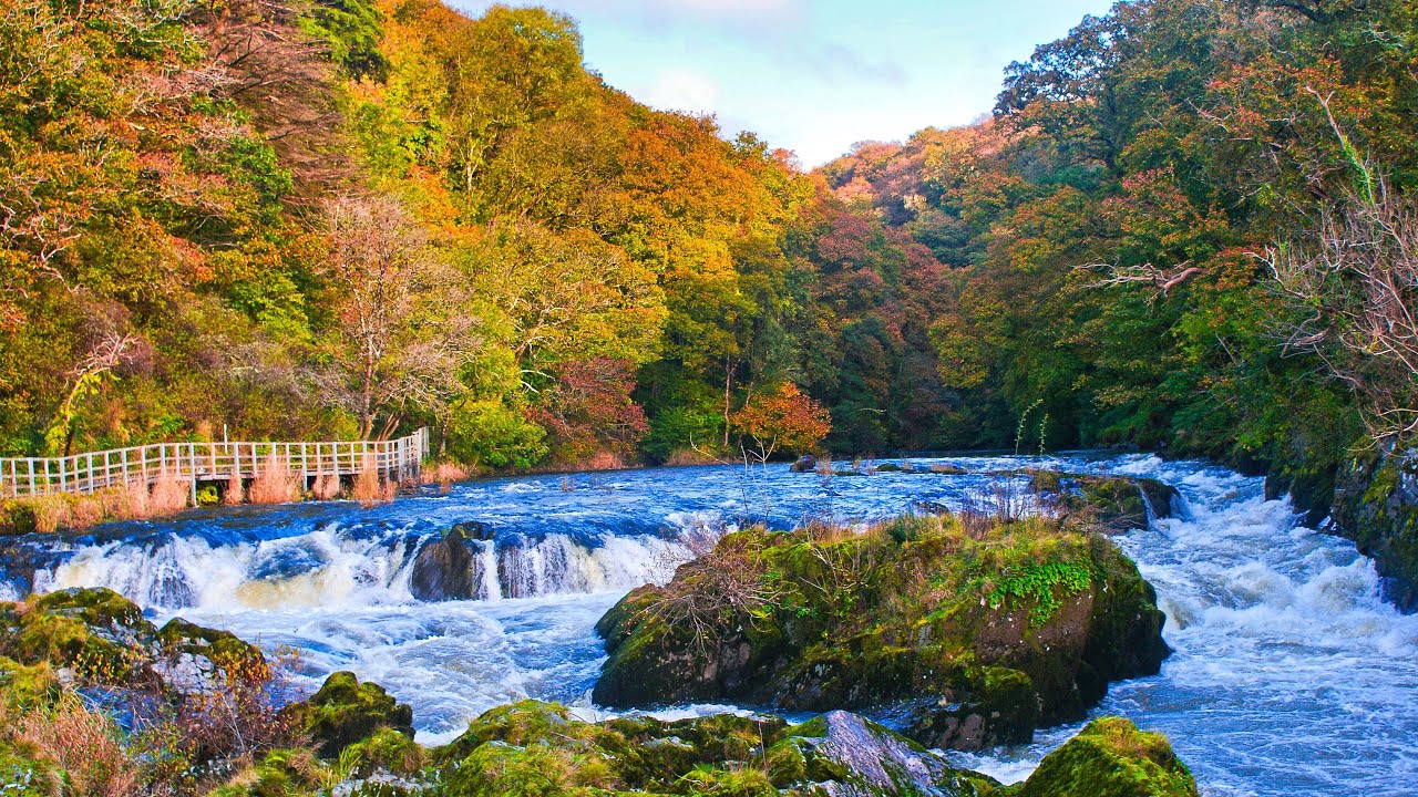 Cenarth Falls River Walk Newcastle Emlyn Wales 2024