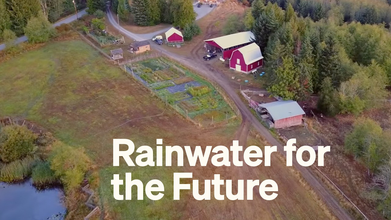 Water for the Future: Capturing Seasonal Rains for the Next Generation  - Elemental Ecosystems