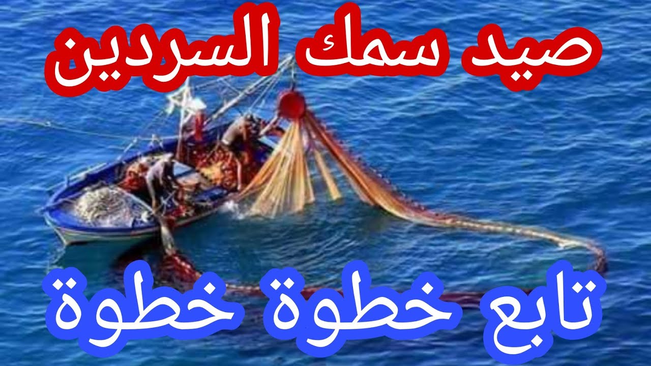 صيد سمك السردين  من(A حتى ل Z)|Pêche à la sardine de (A à Z)