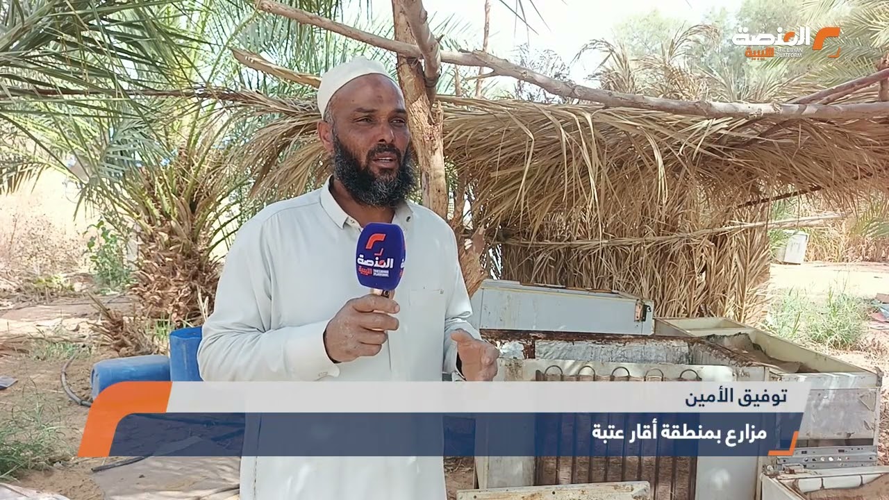 تقرير نجاح تجربة زراعية مبتكرة في وادي عتبة باستخدام السماد العضوي