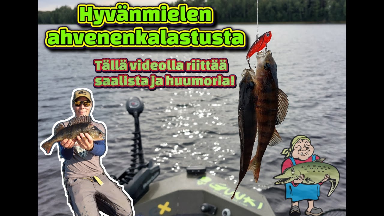 Hyvänmielen ahvenenkalastusvideo | Tästä ei puutu saalista eikä huumoria