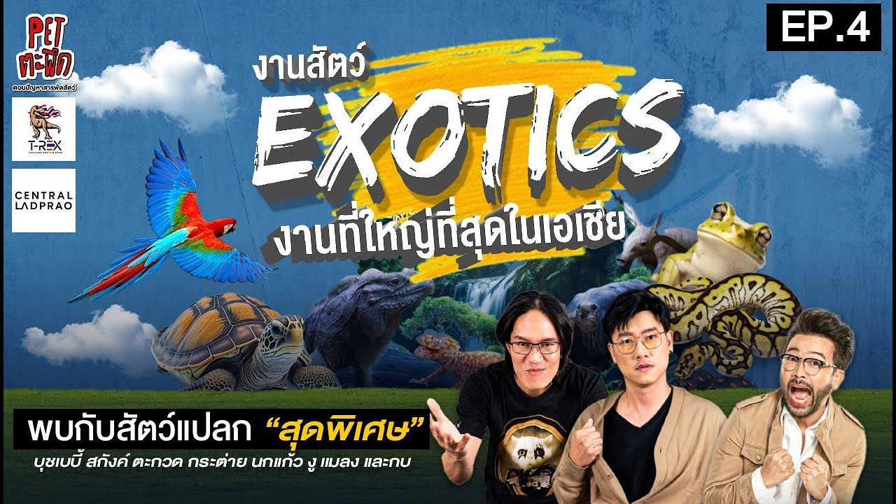 [LIVE] #Petตะพึด  พาลุยงาน T-REX Exotic world งานสัตว์ Exotics ที่ใหญ่ที่สุดในเอเชีย !! EP.4 15/9/66